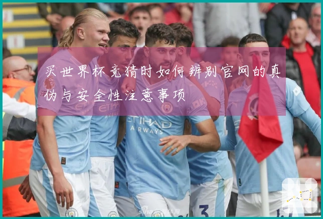 买世界杯竞猜时如何辨别官网的真伪与安全性注意事项
