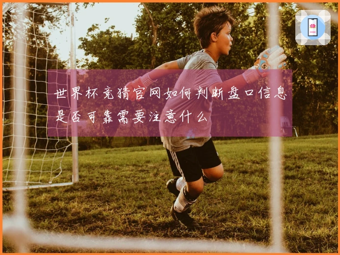 世界杯竞猜官网如何判断盘口信息是否可靠需要注意什么